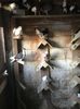 DEA9EBCC-548A-4BC1-A224-EF73DCE2245B