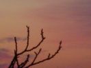 Apus de Soare