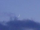Luna noua in Varsator