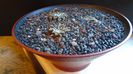 Grup de 3 Ariocarpus