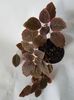 20191115_132256(0)