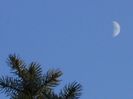 Luna in crestere in Berbec