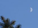 Luna in crestere in Berbec