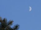 Luna in crestere in Berbec