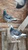 IMG-20191227-WA0026