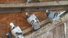 IMG-20191227-WA0029