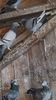 IMG-20191227-WA0032
