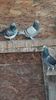 IMG-20191227-WA0004