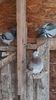 IMG-20191227-WA0003