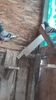 IMG-20191227-WA0045