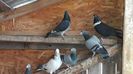 IMG-20191227-WA0044