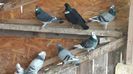 IMG-20191227-WA0011
