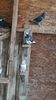 IMG-20191227-WA0046
