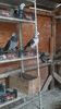 IMG-20191227-WA0048