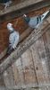 IMG-20191227-WA0013