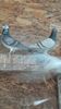 IMG-20191227-WA0012