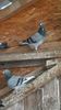 IMG-20191227-WA0015