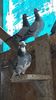 IMG-20191227-WA0016