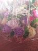 received_502774087001572