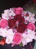 received_2466392610240061