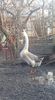 received_1078600285807925