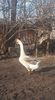 received_569352473903736