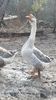 VideoCapture_20200102-001657