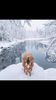 IMG-20200110-WA0010