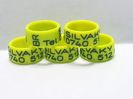 Silvaky