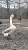VideoCapture_20200111-181800