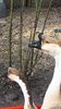 VideoCapture_20200111-181644