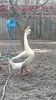 VideoCapture_20200111-181751