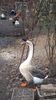 VideoCapture_20200111-181630