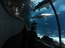 IMG-20200125-WA0000