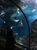 IMG-20200125-WA0014