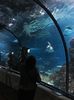 IMG-20200125-WA0019
