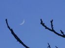 Luna un crestere in Berbec