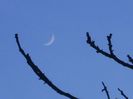 Luna un crestere in Berbec