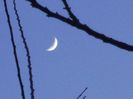 Luna in crestere in Berbec