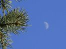 Luna in crestere in Taur