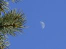 Luna in crestere in Taur