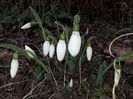 4februarie soare,cald 18grade