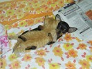 pic26003_1142269560