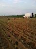 Photo0046