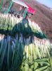 Photo0114