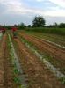 Photo0029