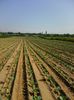 Photo0054