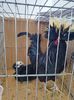 IMG-20200209-WA0009