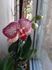 IMG-20200125-WA0002