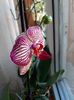 IMG-20200125-WA0001